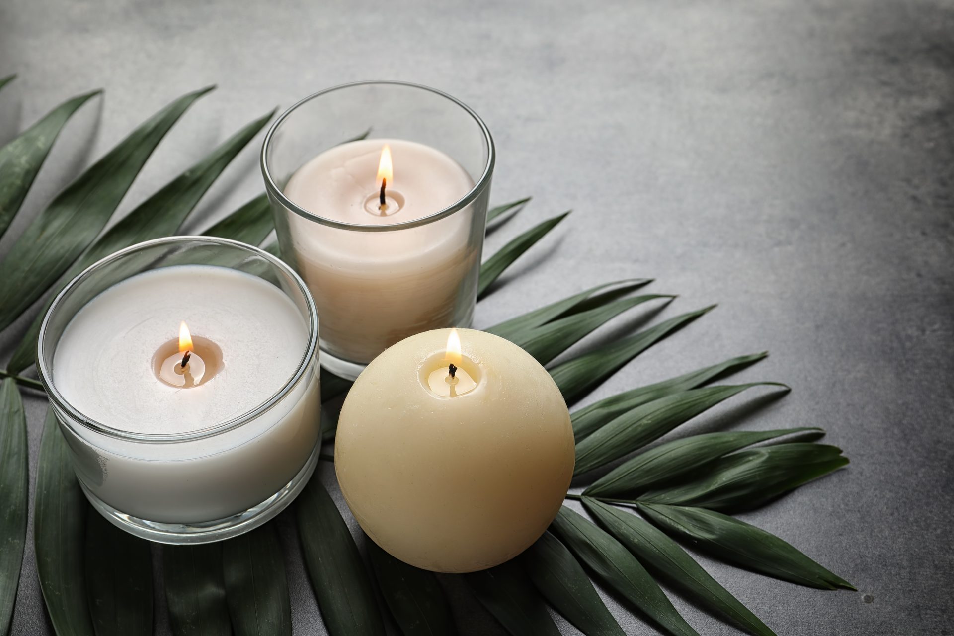 Candle holder, Wax, Plant, Flame, Tree, Fire