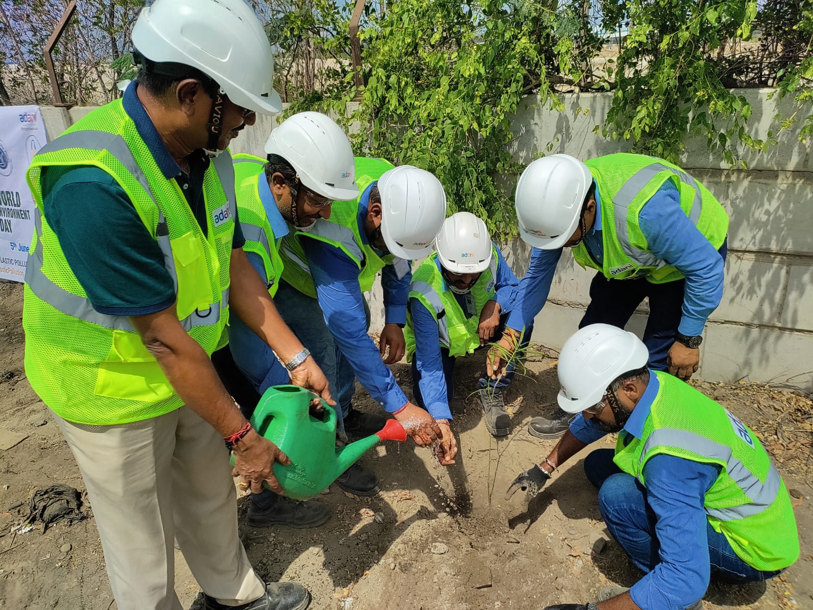 Hard hat, High-visibility clothing, Construction worker, Helmet, Workwear, Plant, Engineer, Tree, Headgear, Biome