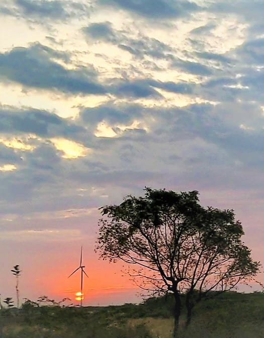 Natural landscape, Cloud, Sky, Atmosphere, Ecoregion, Afterglow, Nature, Tree, Dusk, Plant