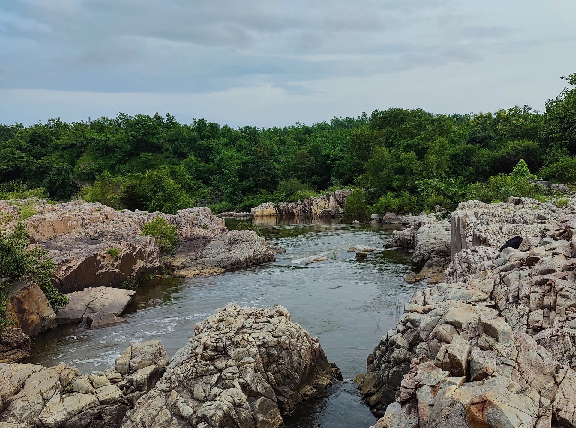 Fluvial landforms of streams, Plant community, Natural landscape, Water, Sky, Cloud, Bedrock, Tree, Watercourse