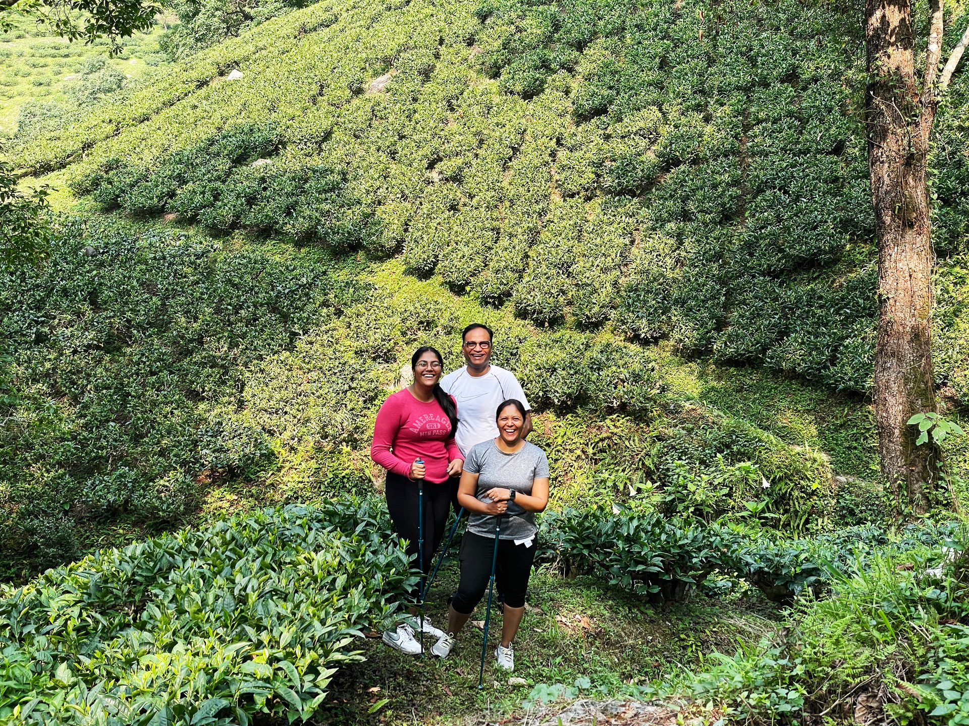 People in nature, Plant community, Natural landscape, Biome, Grass