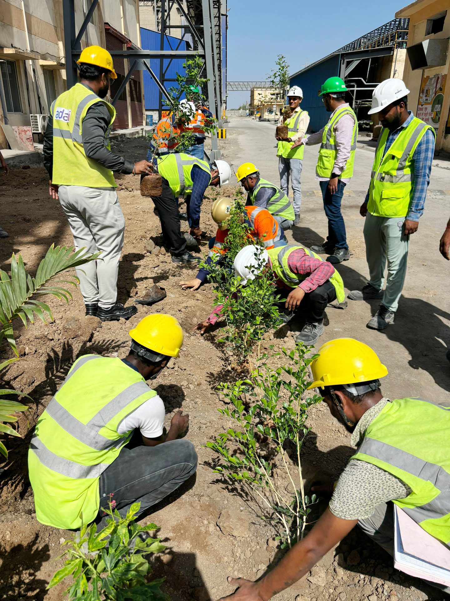 Hard hat, High-visibility clothing, Plant, Helmet, Workwear, Green, Tradesman, Yellow, Engineer