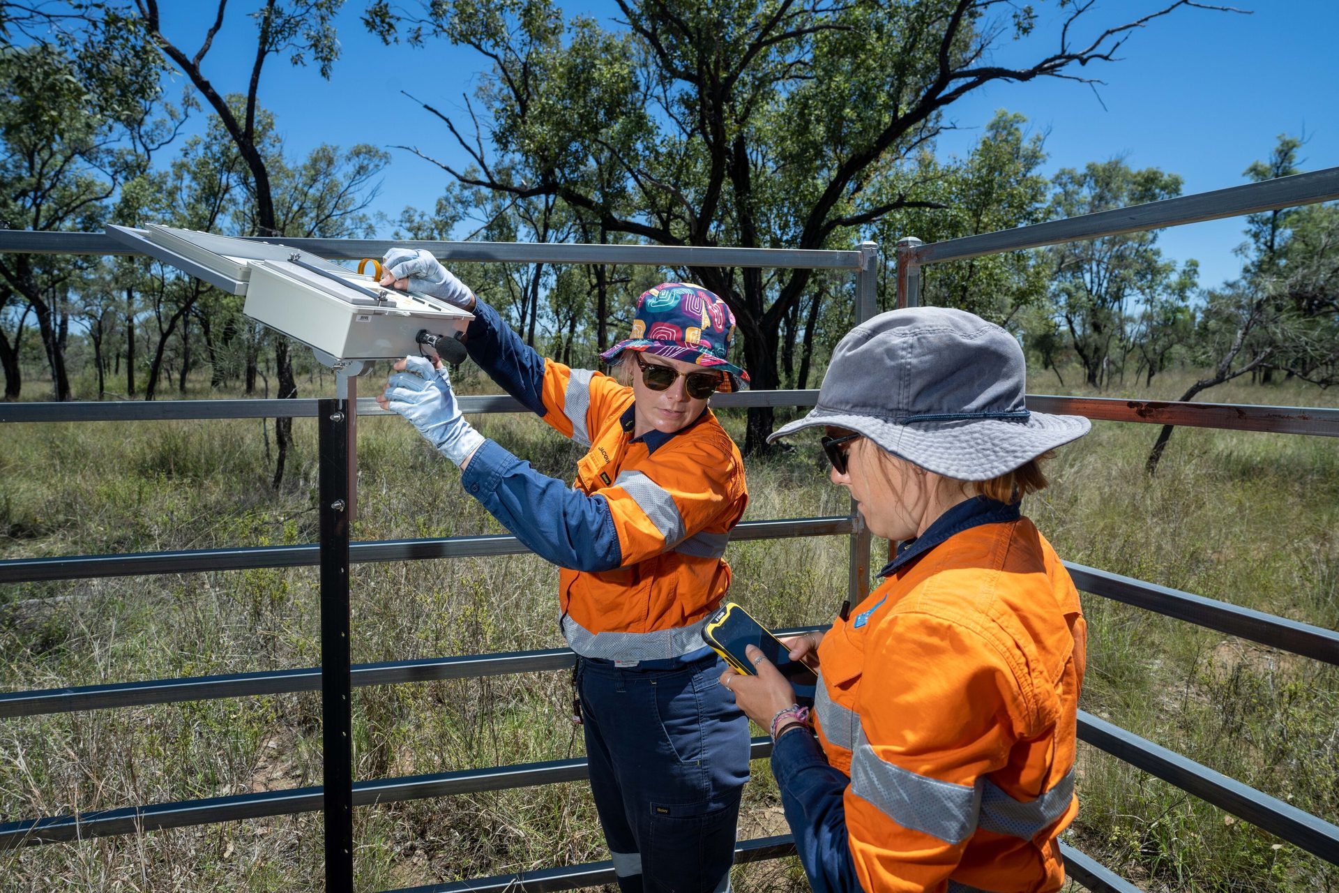 Hard hat, High-visibility clothing, Helmet, Plant, Workwear, Tree, Tradesman, Sky, Fence, Engineer