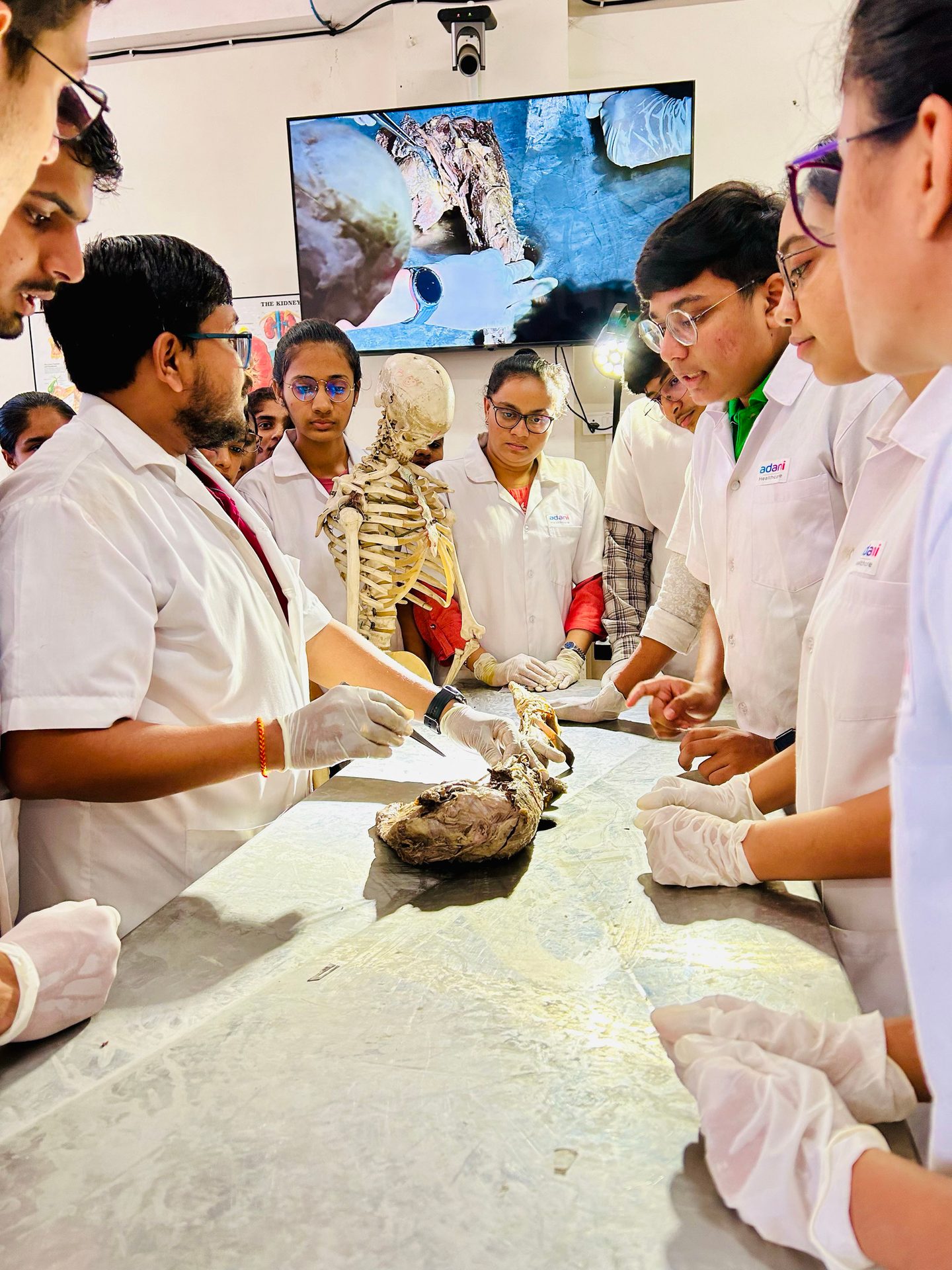 Apron, Chef, Cooking, Sunglasses