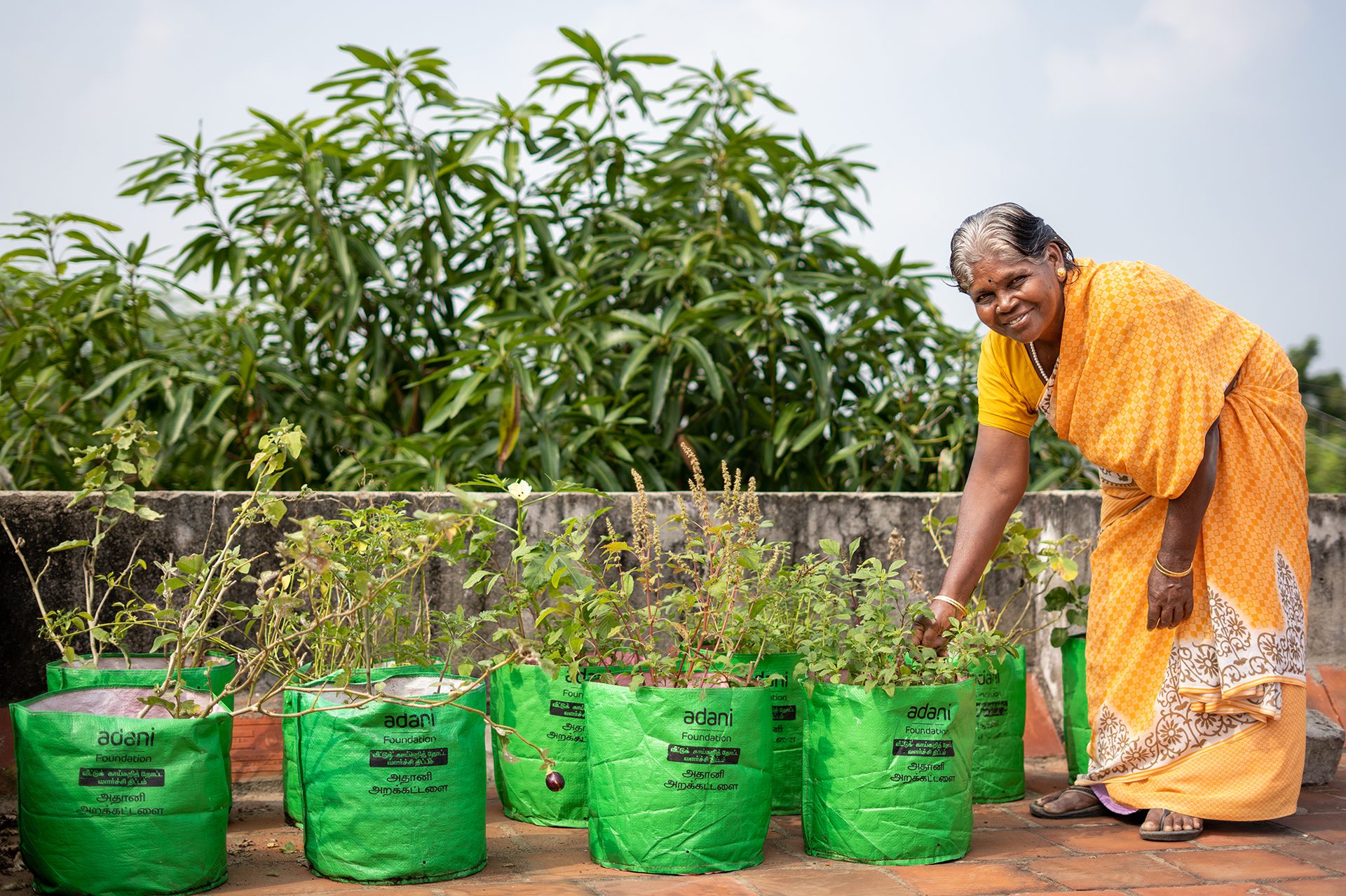 People in nature, Sky, Plant, Green, Agriculture, Grass