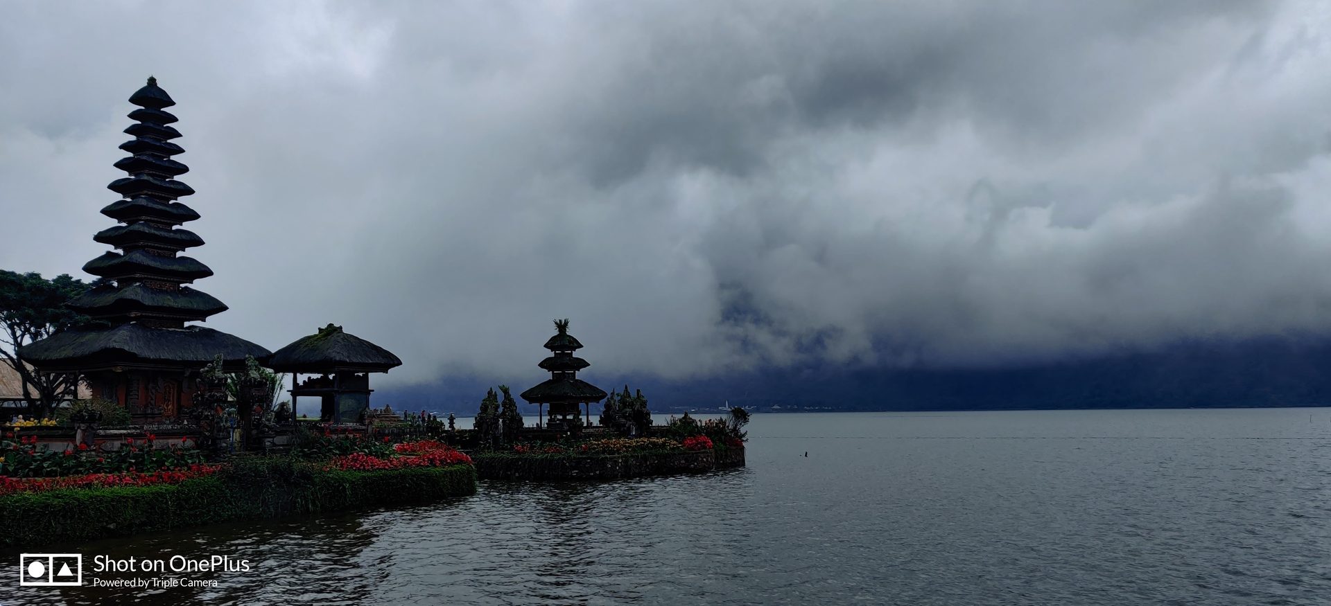 Cloud, Sky, Water, Lake, Plant