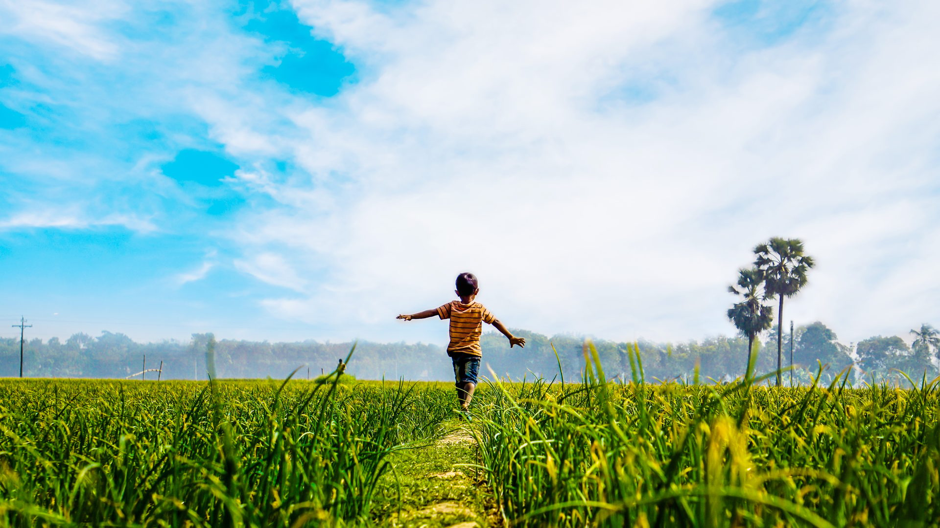 People in nature, Natural landscape, Sky, Cloud, Plant, Flower, Azure, Happy, Gesture