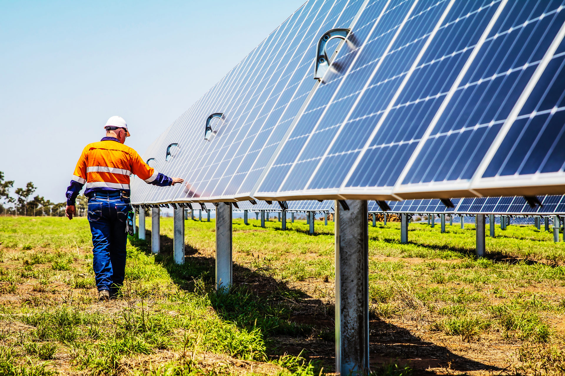 People in nature, Solar energy, Workwear, Engineer, Agriculture, Field