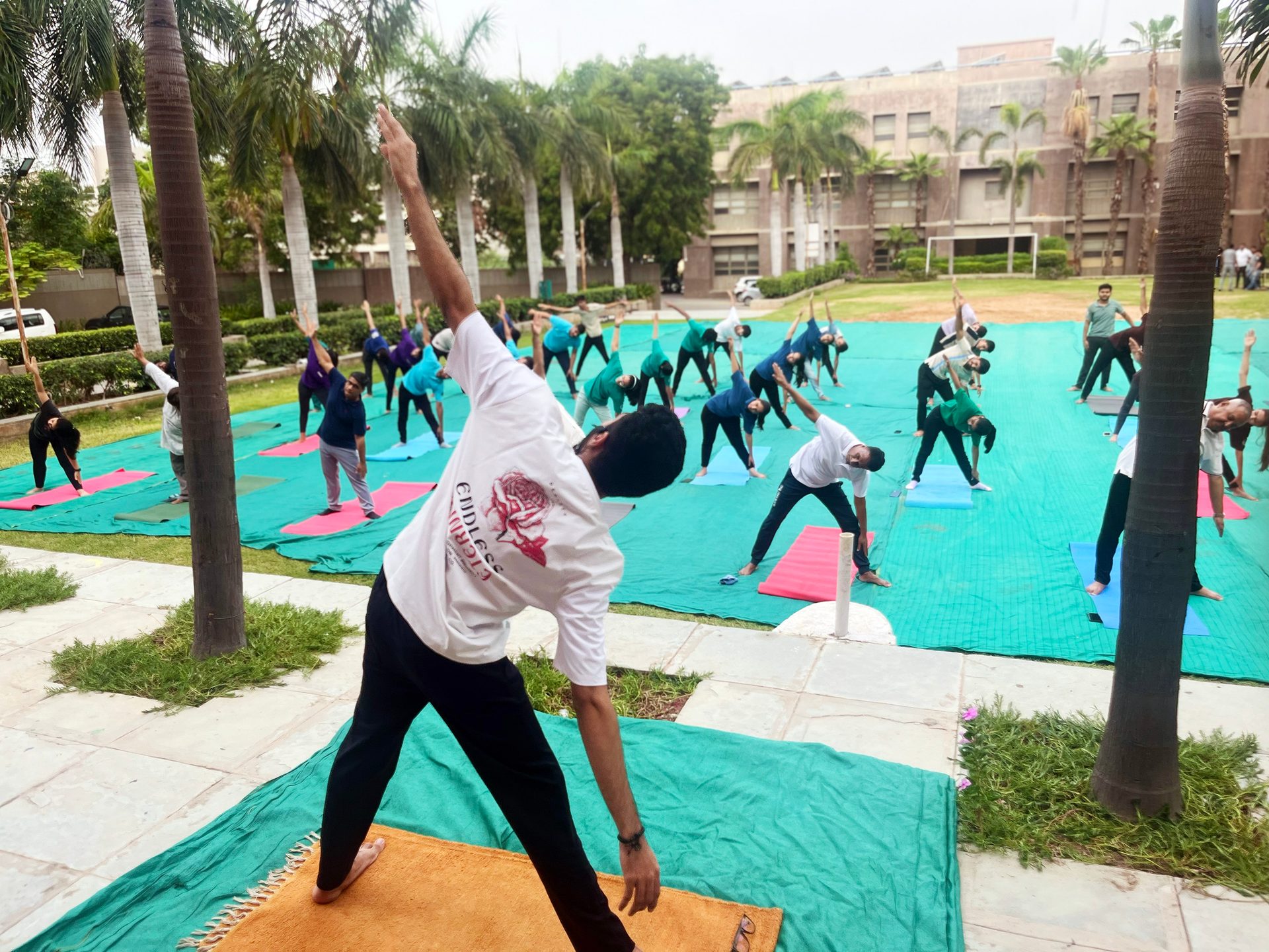 Large group practicing yoga outdoors on mats.
