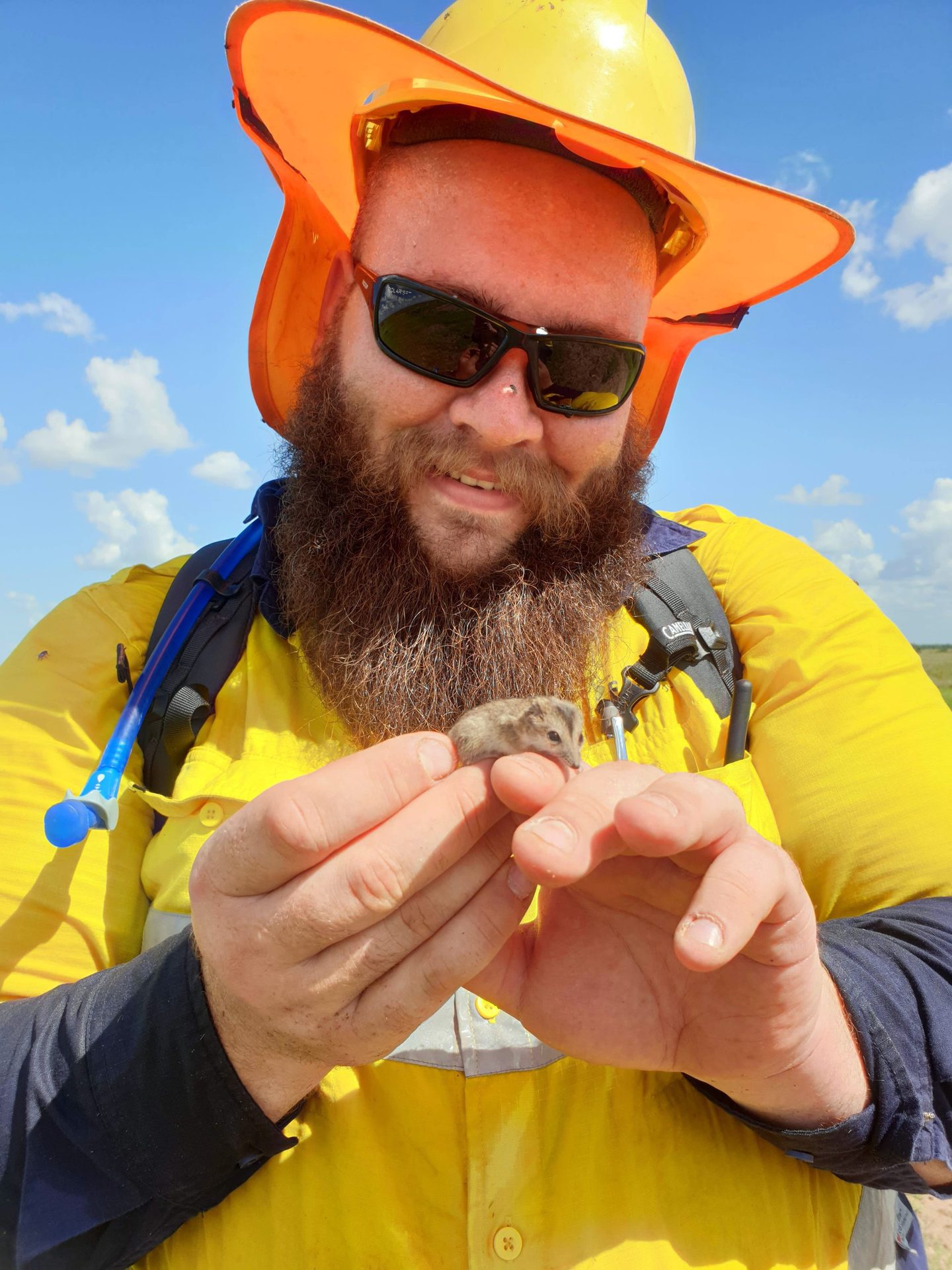Bearded man in safety gear gently holds a tiny mouse-like marsupial.