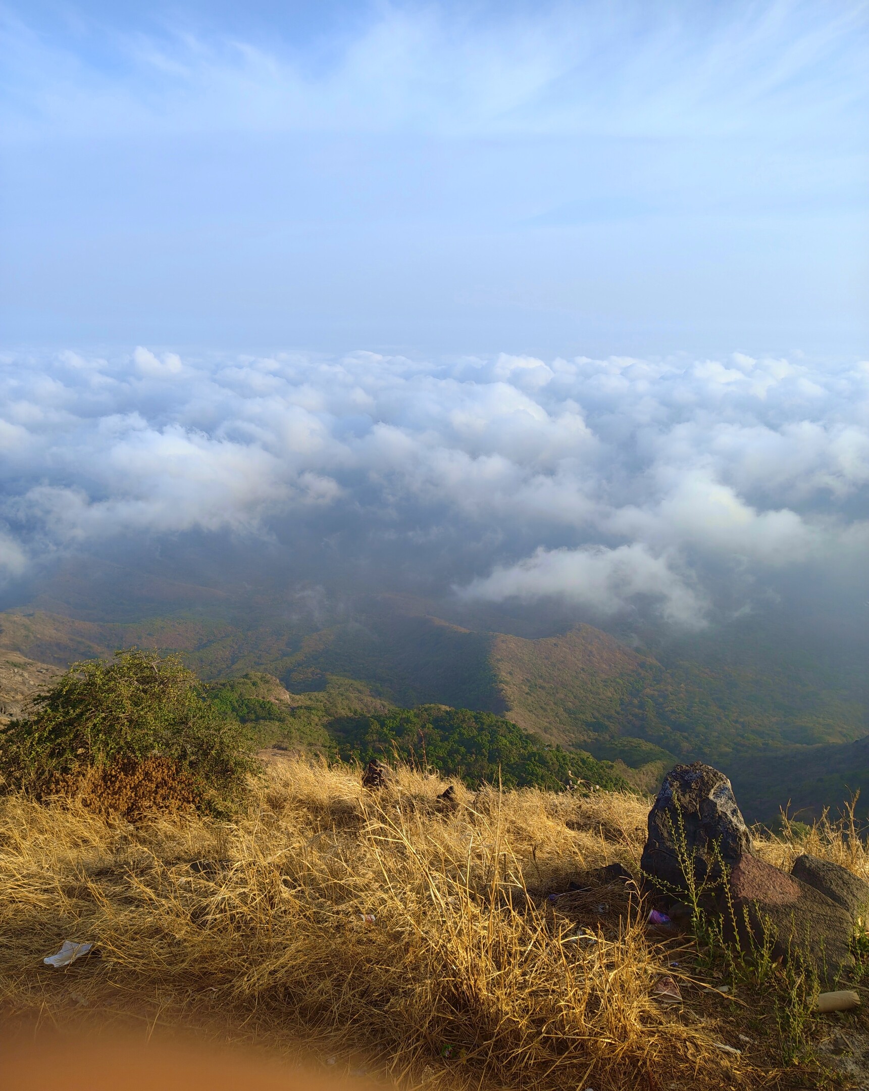 View from a mountain peak, golden grass, and rocks in the foreground, with a vast sea of clouds below.
