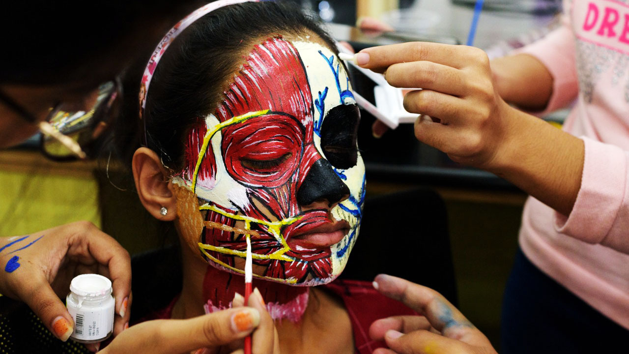 Person getting their face painted to resemble human anatomy with muscles and veins, several hands working.