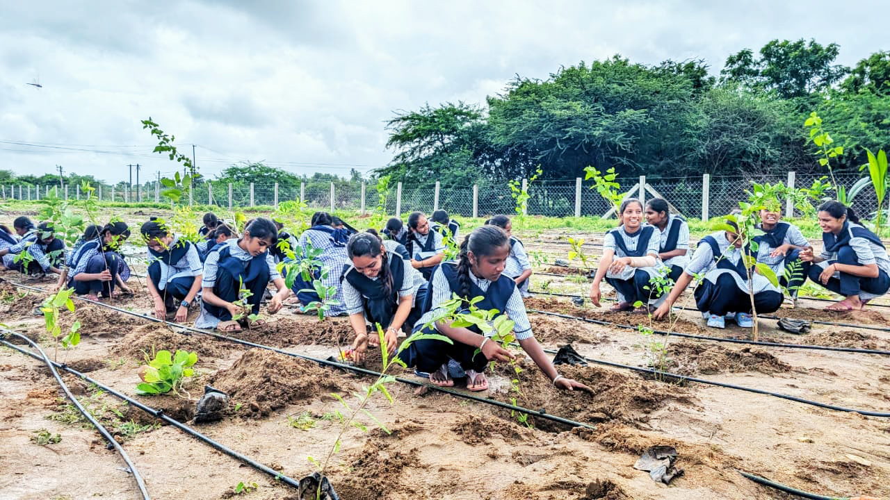 Schoolgirls in uniforms planting saplings in a field with drip irrigation, promoting environmental care.