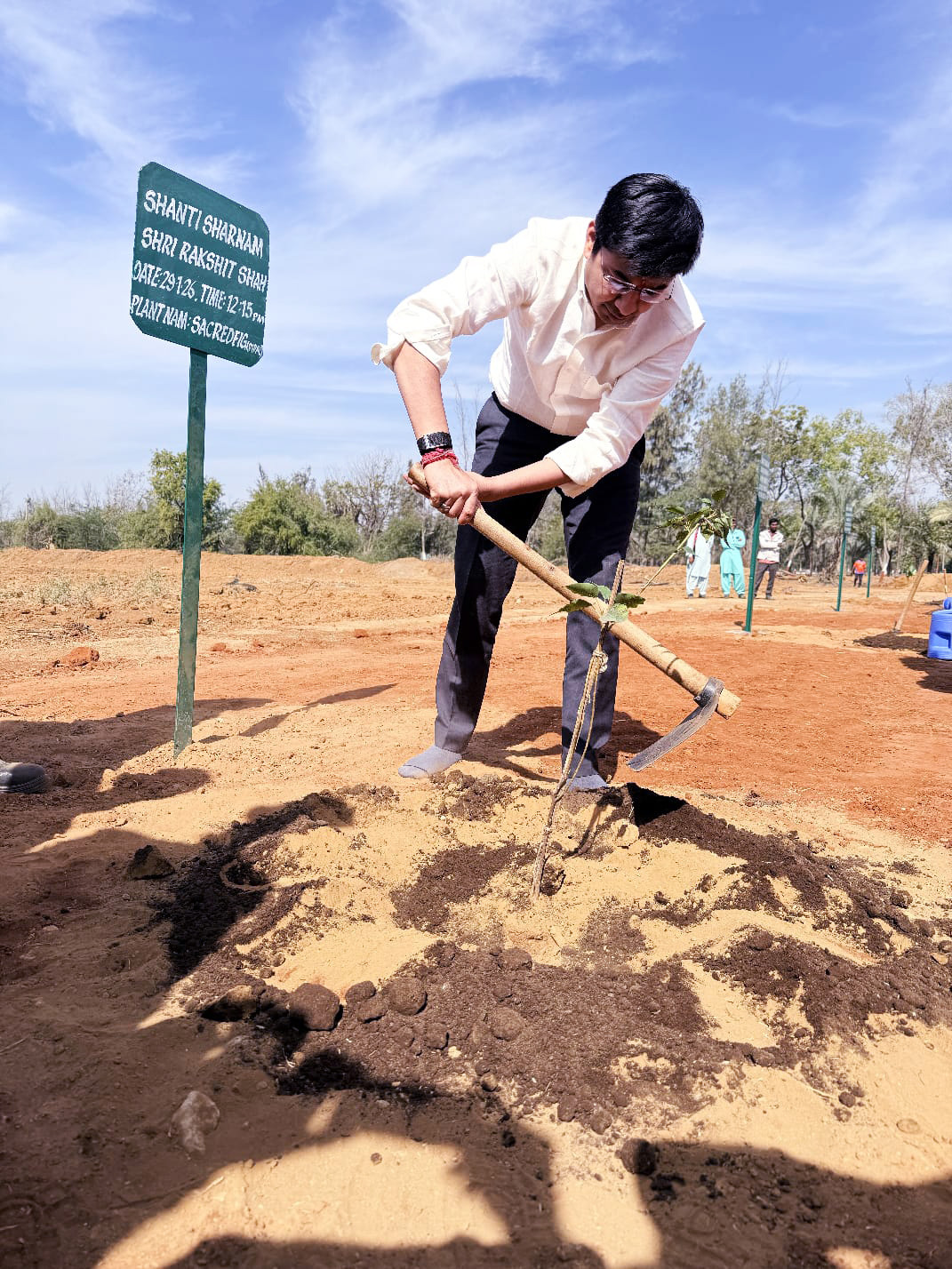 A man plants a tree in dry soil with a hoe next to a green sign.