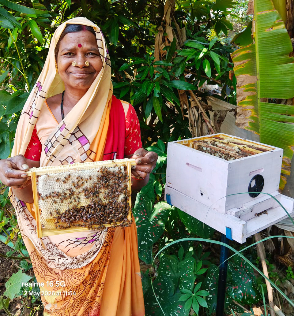 A smiling woman in a saree holds a frame of honeycomb buzzing with bees, standing next to a beehive.