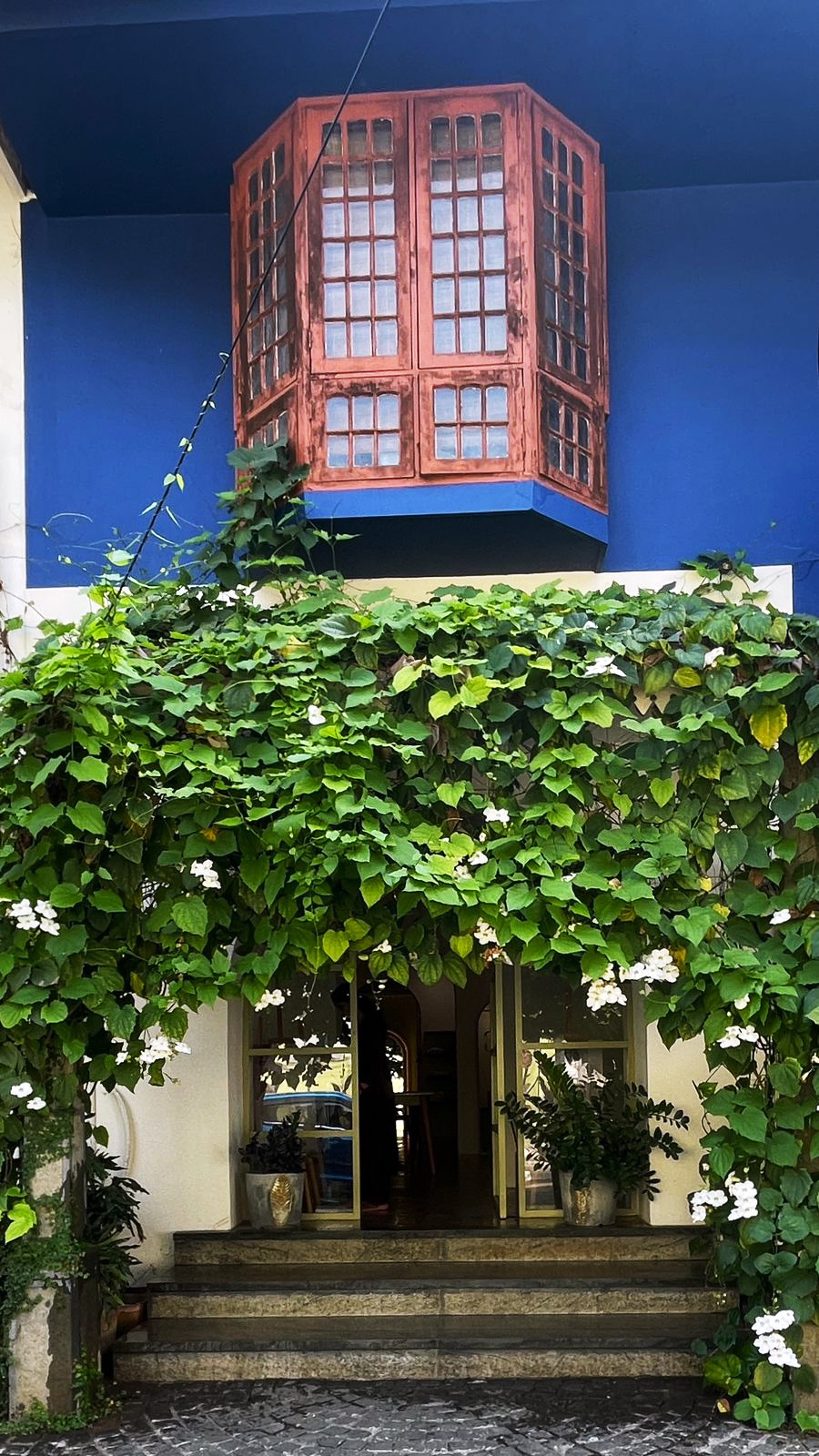 A vibrant blue building with an orange bay window above a doorway draped in lush green vines and white flowers.