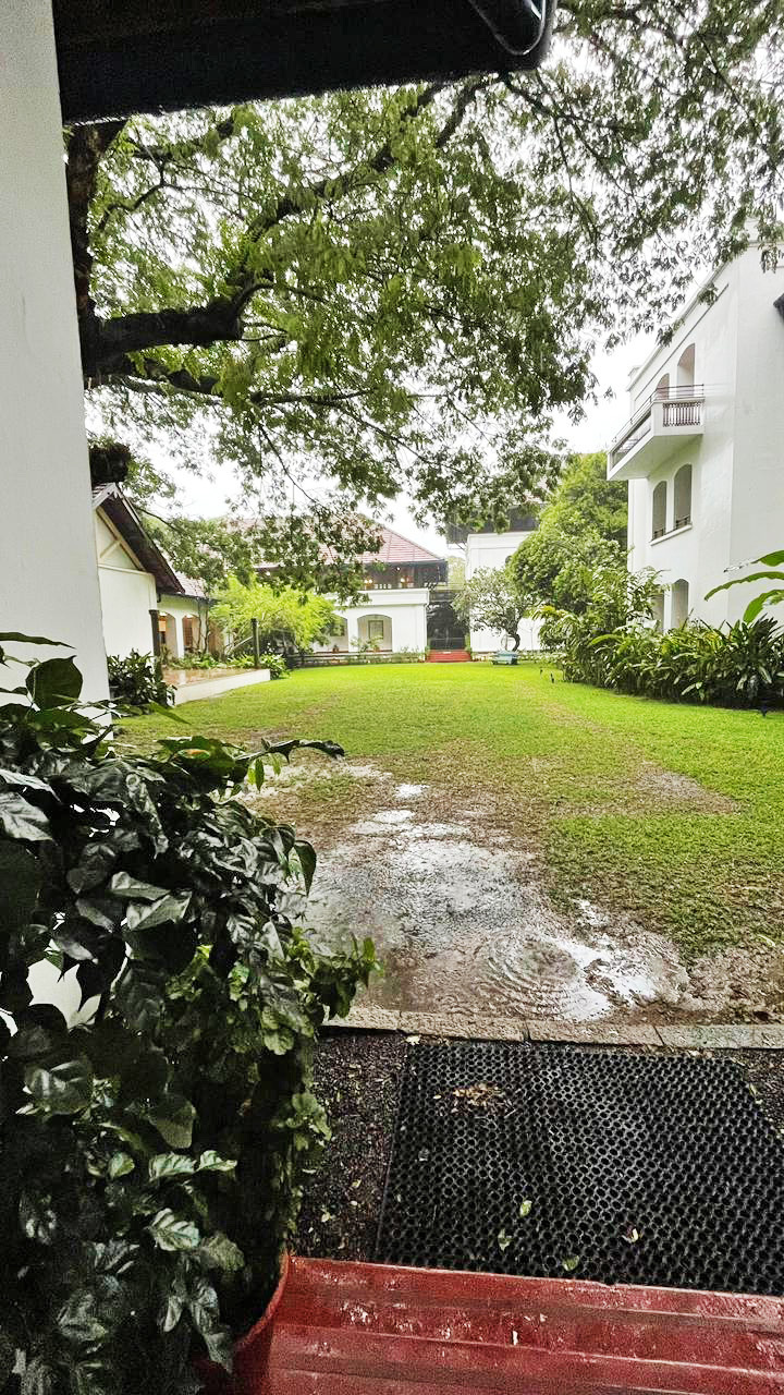 A lush green lawn with rainwater puddles and ripples, surrounded by white buildings and dense trees.