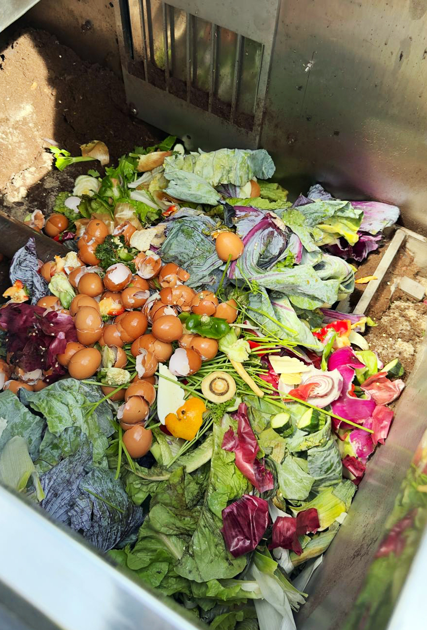 A close-up of a large pile of food scraps, including eggshells, lettuce, and other vegetables.