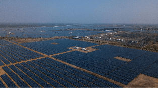 Large solar farm with countless panels under a clear sky.